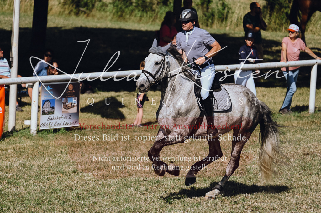 DSC_1981 | Pferde- und Turnierfotografie in Westsachsen. Pferdeportraits, Auftragszeichnungen und intuitive Kunst.