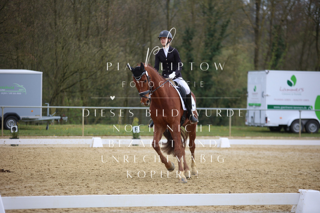 IMGT7321 | pl-fotografie