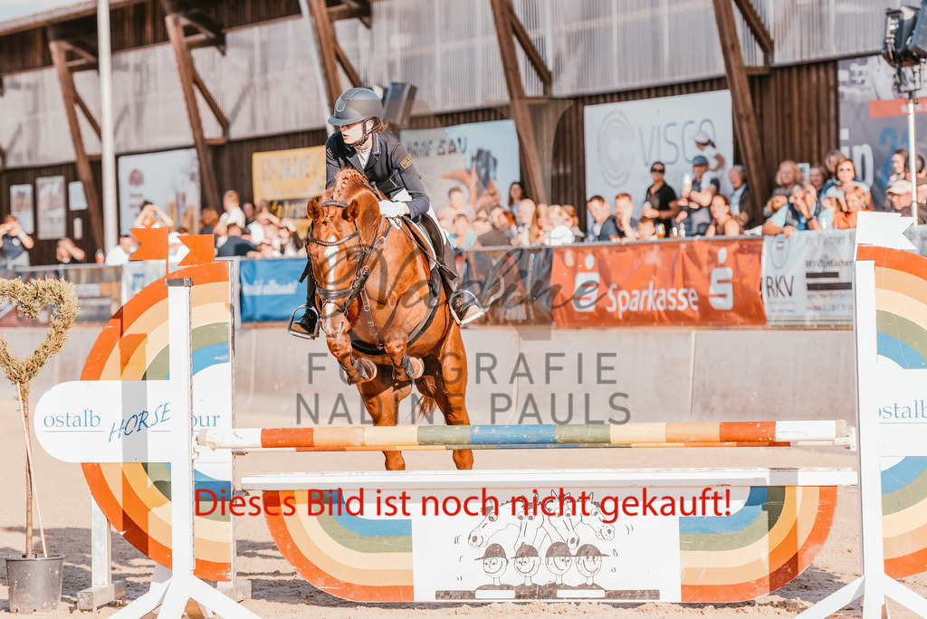 26-OHT-21 | Nadine Pauls Turnierfotografie Lauchheim Ostalbkreis Pferdefotografie Hundefotografie  - Realisiert mit Pictrs.com