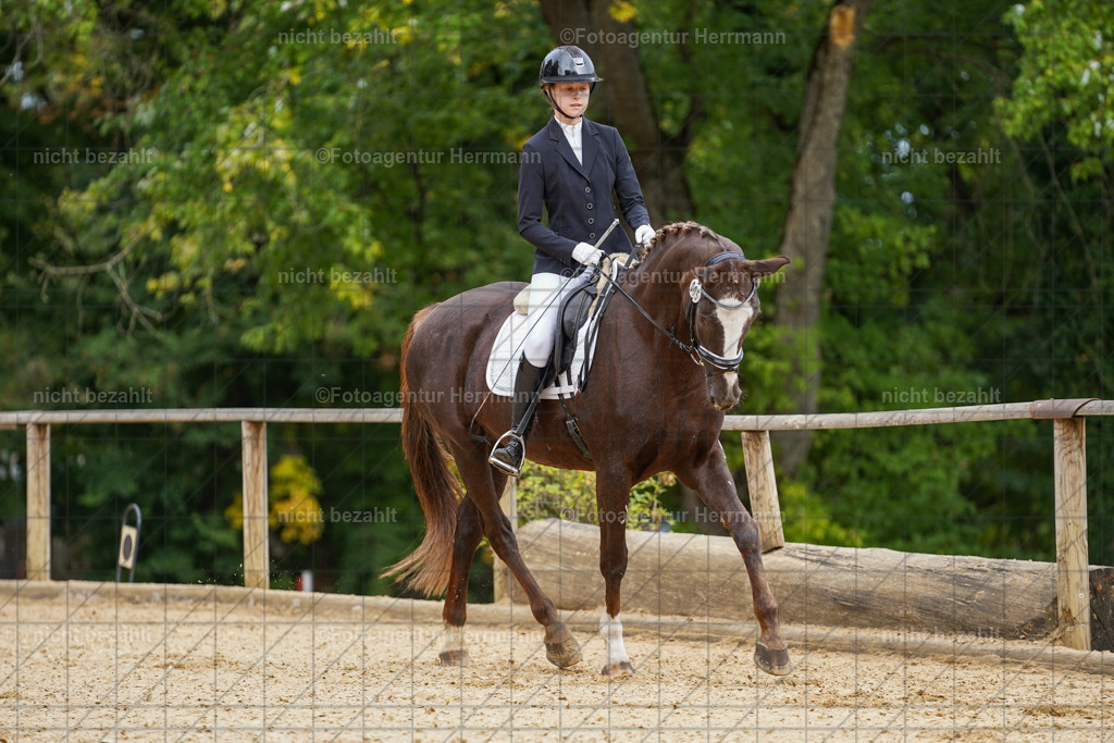 20231007-SN_00413 | Diessen am Ammersee, 2023, Dressur- und Springturnier, Reitsport, Turnierfotografie, Pferdebilder, Reitbilder, Turnierfotografen Bayern, Fotoagentur Herrmann