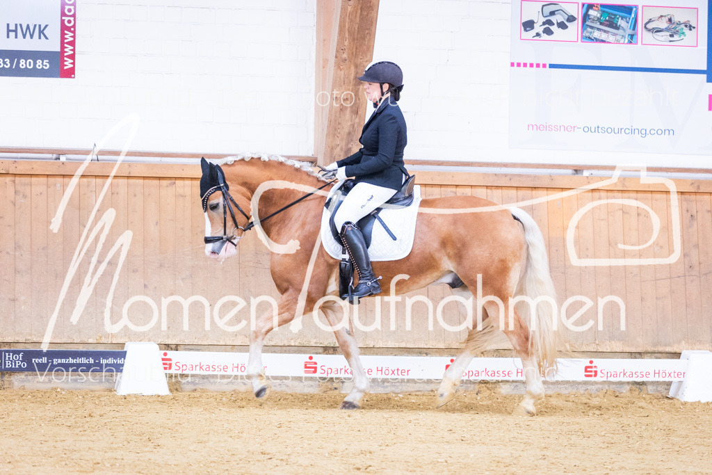 Sth-A-Dre-1St-083 | MomenTaufnahmen Pferdesportfotos