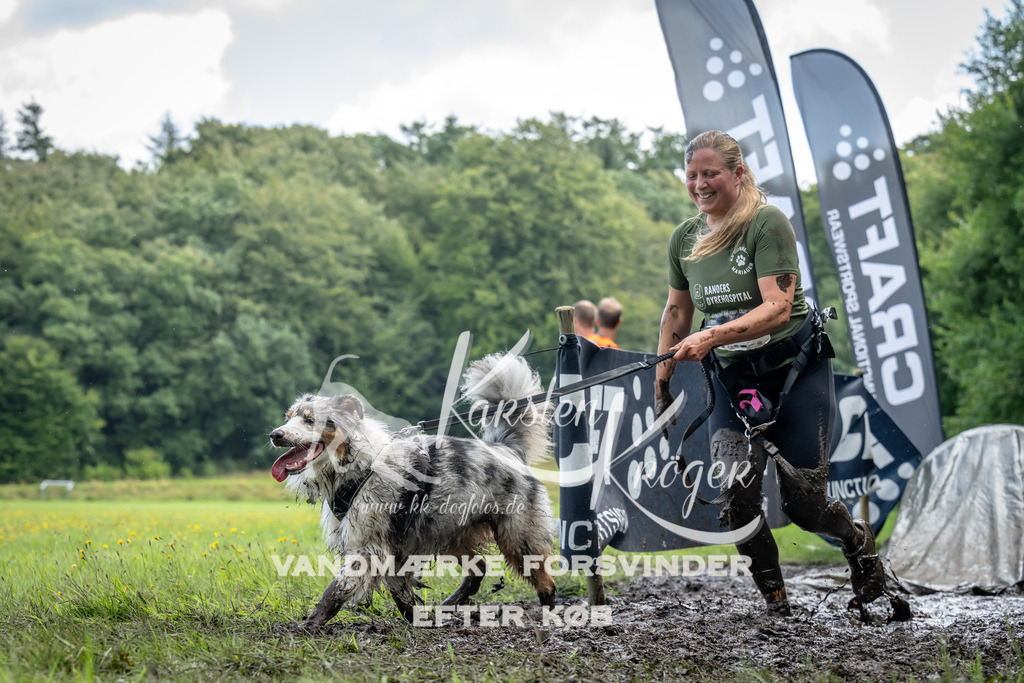 1146_ZZ94232 | kk-dogfotos