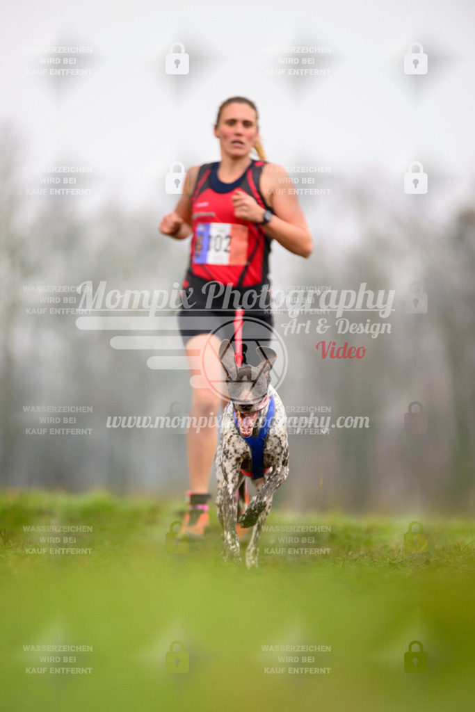 MompixPhotography_CDF2023_FFST_Di_Canicross-69 | PayLife