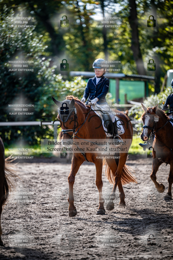 2026-10-Helle-20-4-0032 | Entdecke hochwertige Reitturnierfotos von Foto Oger. Professionell, emotional und authentisch – jetzt Lieblingsmomente im Shop bestellen.Deutschlandweite Turnierfotografie. - Realisiert mit Pictrs.com