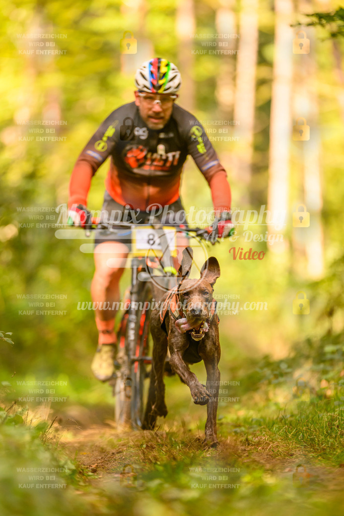 MompixPhotography_Yens2025_B2-155 | PayLife