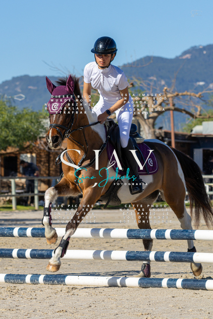 IMG_8250 | s-jay-photography - Realisiert mit Pictrs.com