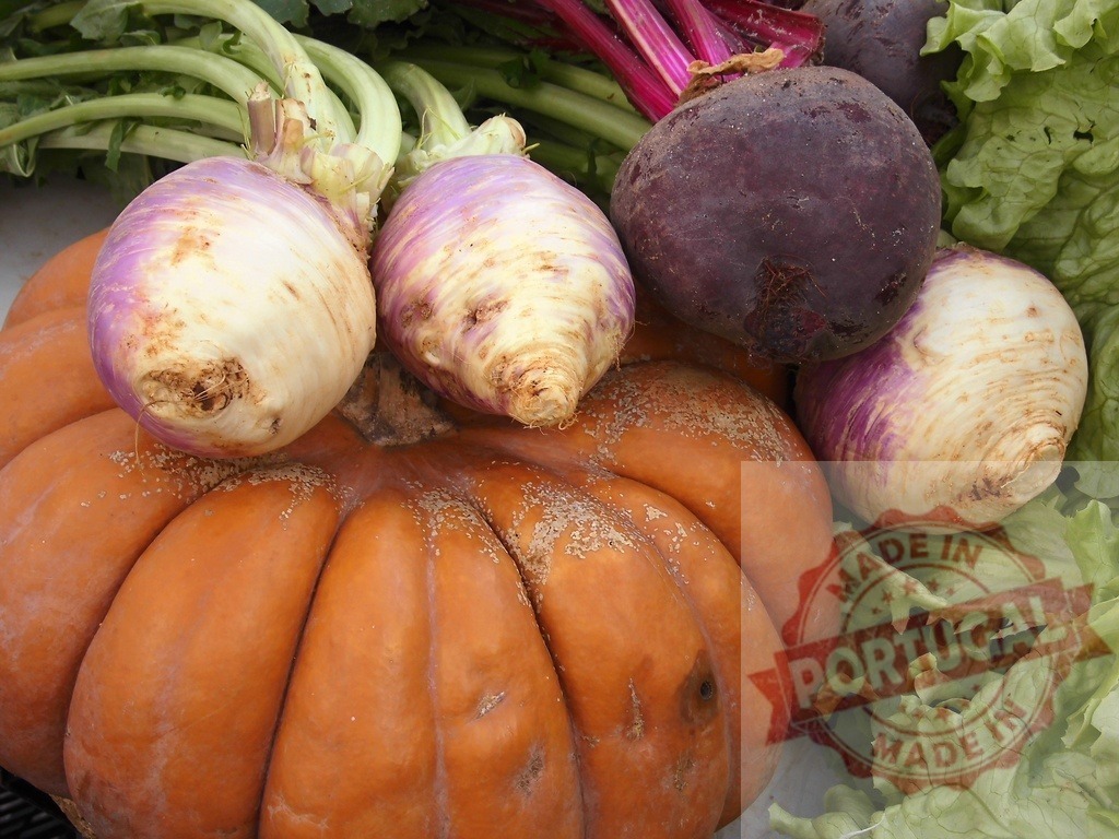 Autumn harvest of organic pumpkin, turnips, beetroot, and lettuce | Assortment of fresh organic vegetables representing healthy eating and autumn harvest - Realized with Pictrs.com