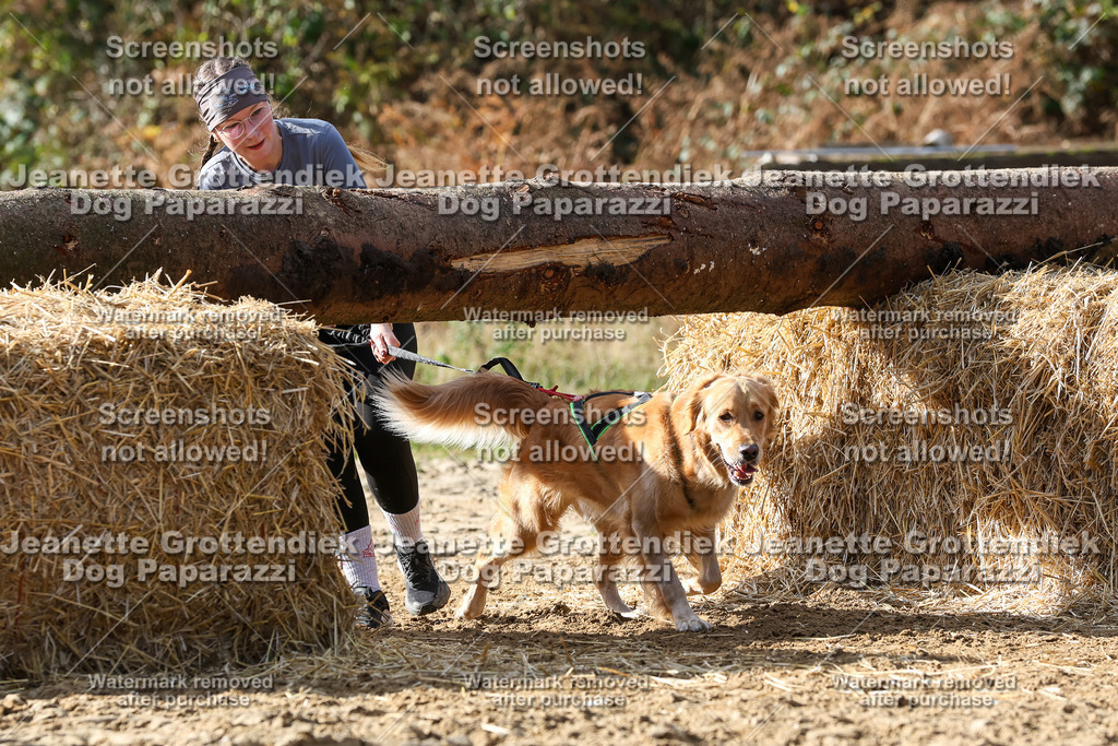 Dog Paparazzi - Strongdog 10-25-5370 | Dog Paparazzi Jeanette Grottendiek Fotografie & Videografie - Realisiert mit Pictrs.com