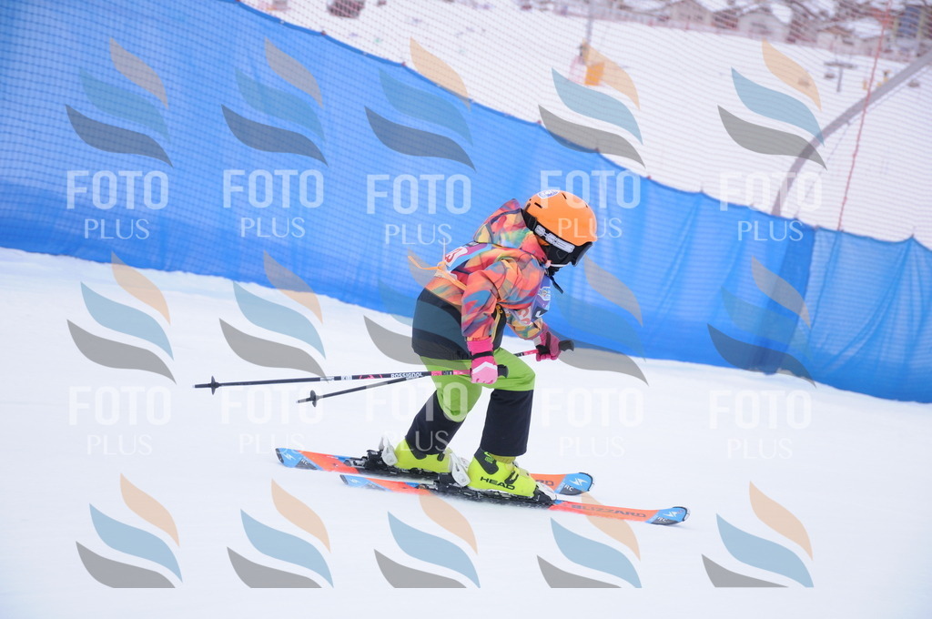 DSC_7721 | holidayphoto