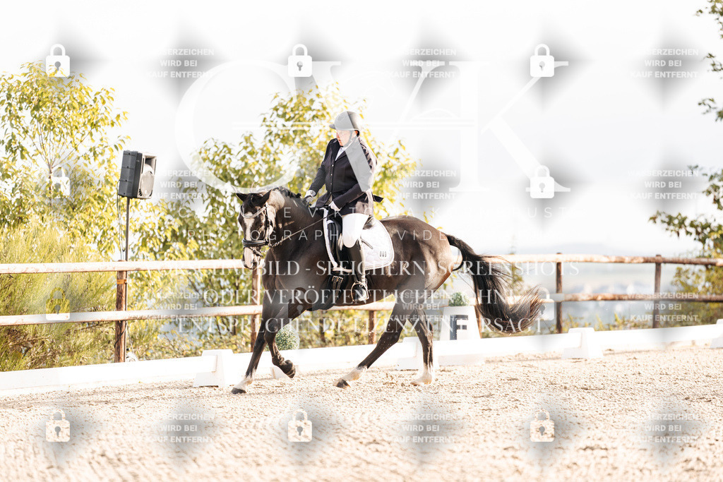 CK900341 | Turnierfotografie Pferdefotografie Trier Rheinland-Pfalz Pferdesport Reitsport Tierfotografie Sportfotografie Pferdevideo Pferdevideografie Equestrianvideography equestrianphotography  - Realisiert mit Pictrs.com