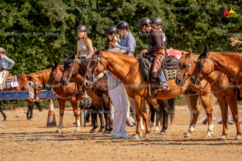 LMS05675 | BS-foto