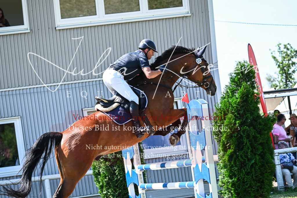 DSC_0982 | Pferde- und Turnierfotografie in Westsachsen. Pferdeportraits, Auftragszeichnungen und intuitive Kunst.