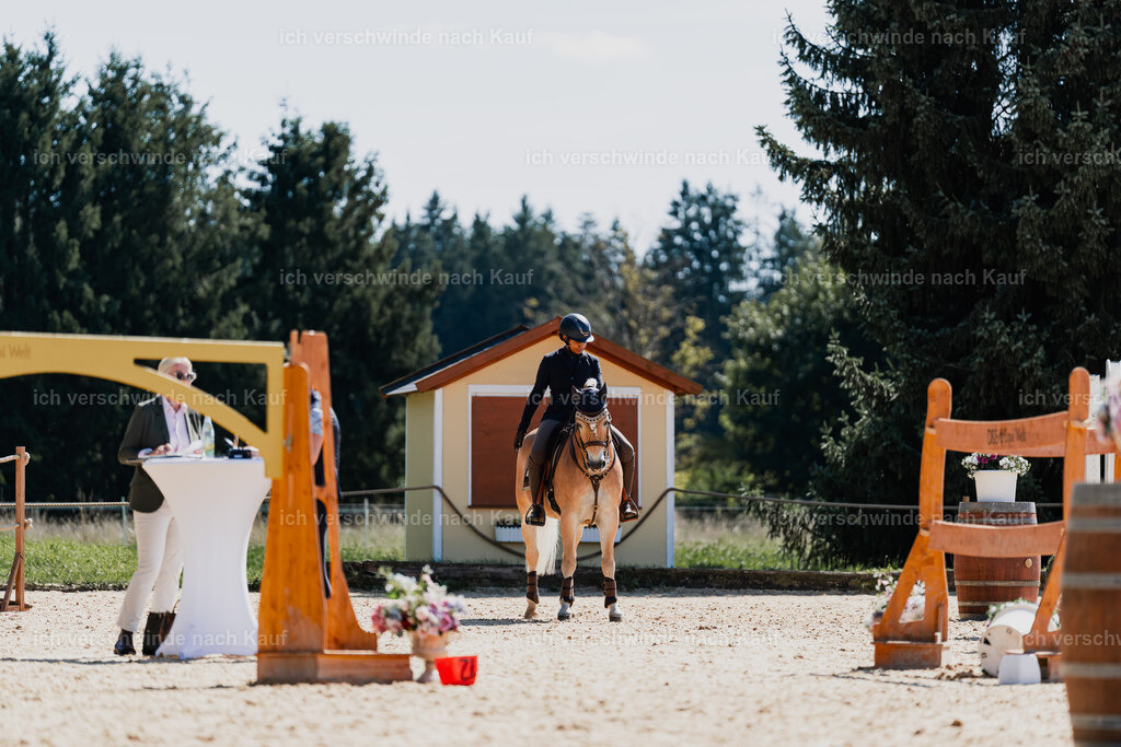Tanesha5FHC2025-08838 | working equitationturnier fotograf videograf stoibphotography marixx film working equitation deutschland reitsport turnierfotografie eventfotografie equestrian events
