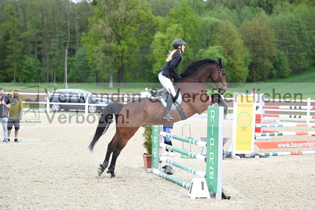 DSC_0680 | equestrian-live-com