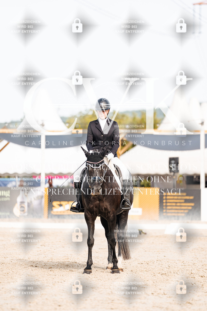 CK905098 | Turnierfotografie Pferdefotografie Trier Rheinland-Pfalz Pferdesport Reitsport Tierfotografie Sportfotografie Pferdevideo Pferdevideografie Equestrianvideography equestrianphotography  - Realisiert mit Pictrs.com