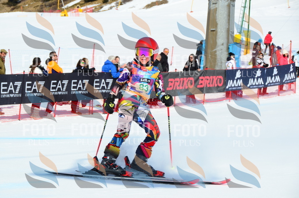 DSC_0526 | holidayphoto