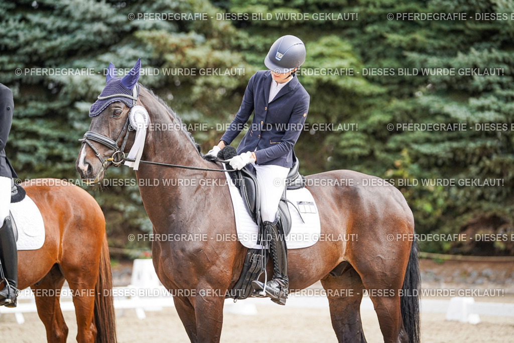 DSC02345 | Pferdegrafie