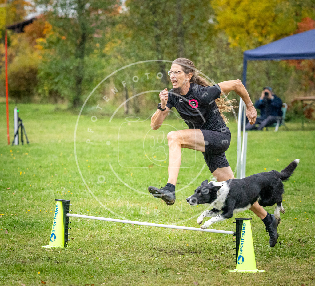 Pfotenfotografie_DV3A1263 | Hundefotografie, Tierfotograf, Pfotenfotografie, Fotoshooting Hund, Hunde Portrait, Hundesport, Hundeportraits, Heideshooting, Hunde, Sportfotograf, Hundefotograf, Turnierhundsport, THS,  - Realisiert mit Pictrs.com