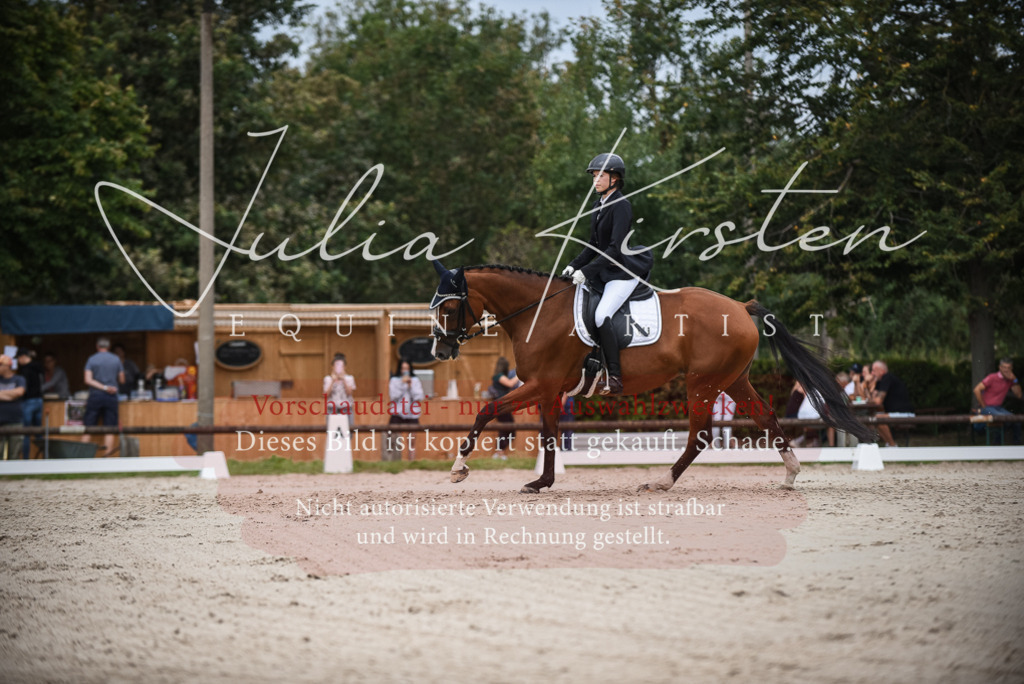 DSC_8428 | Pferde- und Turnierfotografie in Westsachsen. Pferdeportraits, Auftragszeichnungen und intuitive Kunst.