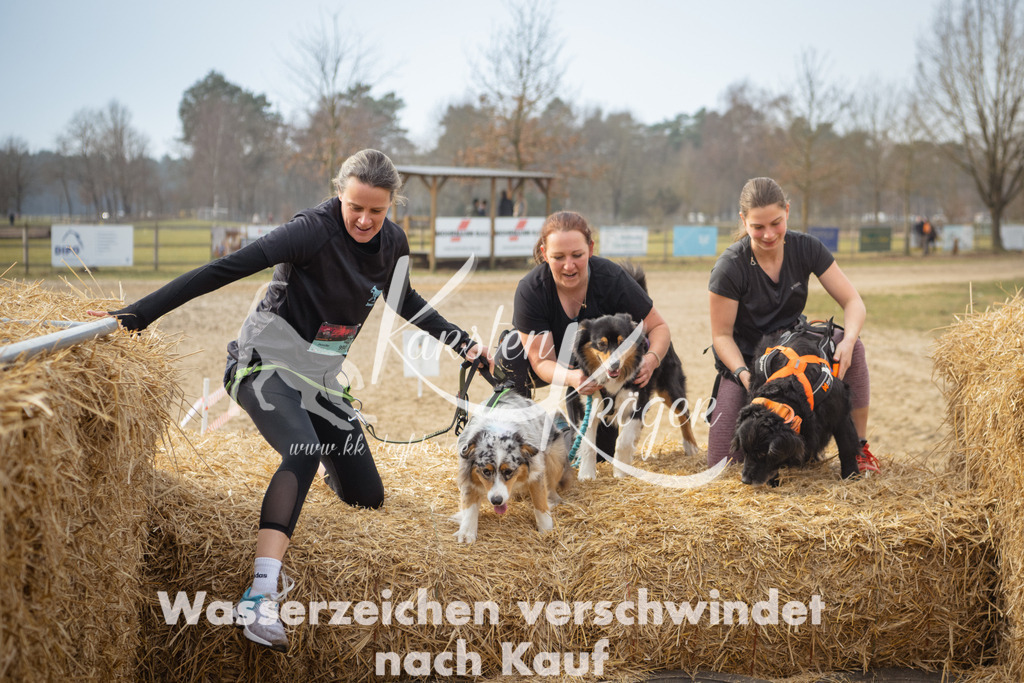 1053_ZZ90847 | kk-dogfotos