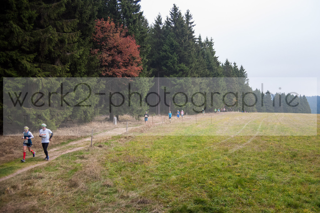 Herbstlauf 2018 | Neuhaus/Rwg. - Masserberg am 7. Oktober 2018