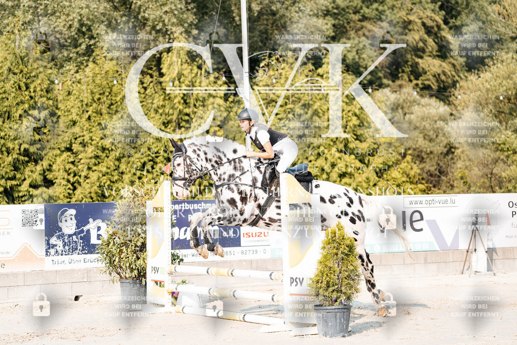 CK902801 | Turnierfotografie Pferdefotografie Trier Rheinland-Pfalz Pferdesport Reitsport Tierfotografie Sportfotografie Pferdevideo Pferdevideografie Equestrianvideography equestrianphotography  - Realisiert mit Pictrs.com