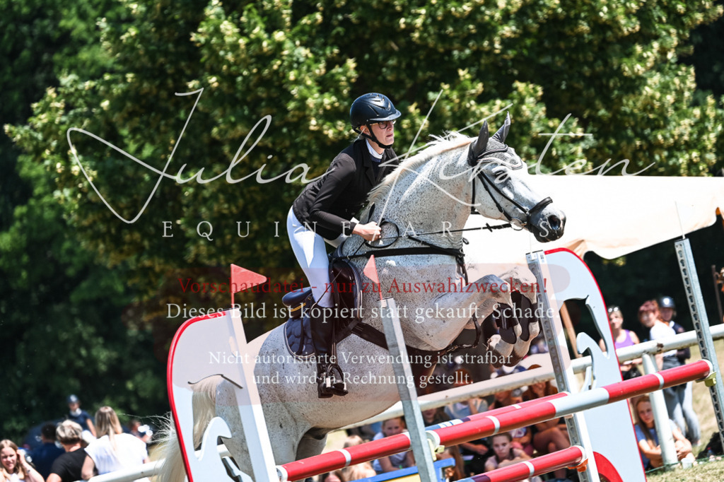 DSC_0254 | Pferde- und Turnierfotografie in Westsachsen. Pferdeportraits, Auftragszeichnungen und intuitive Kunst.