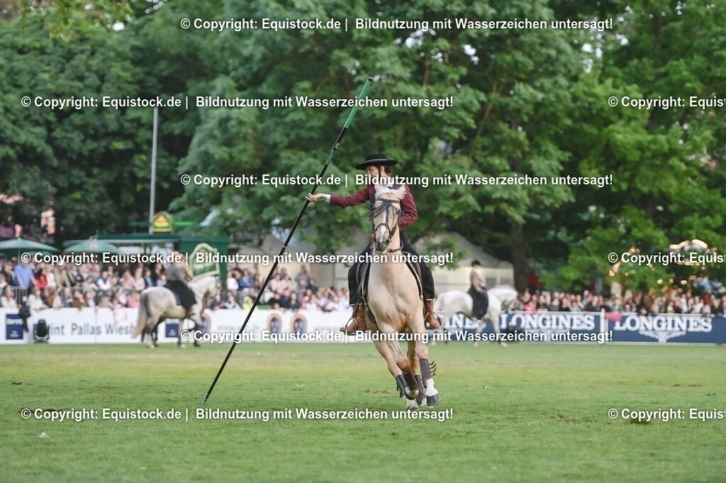 20230526_Pferdenacht_0709 | equistock