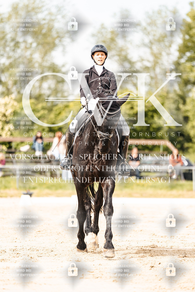 CK901062 | Turnierfotografie Pferdefotografie Trier Rheinland-Pfalz Pferdesport Reitsport Tierfotografie Sportfotografie Pferdevideo Pferdevideografie Equestrianvideography equestrianphotography  - Realisiert mit Pictrs.com