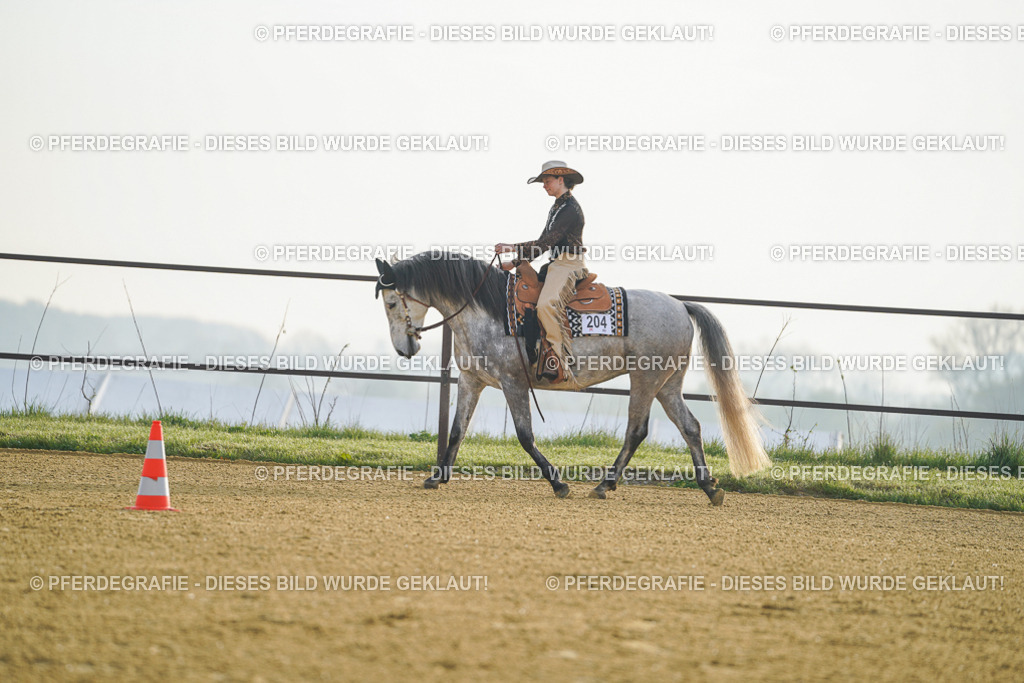 DSC09644 | Pferdegrafie