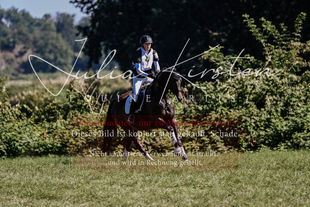 DSC_1471 | Pferde- und Turnierfotografie in Westsachsen. Pferdeportraits, Auftragszeichnungen und intuitive Kunst.