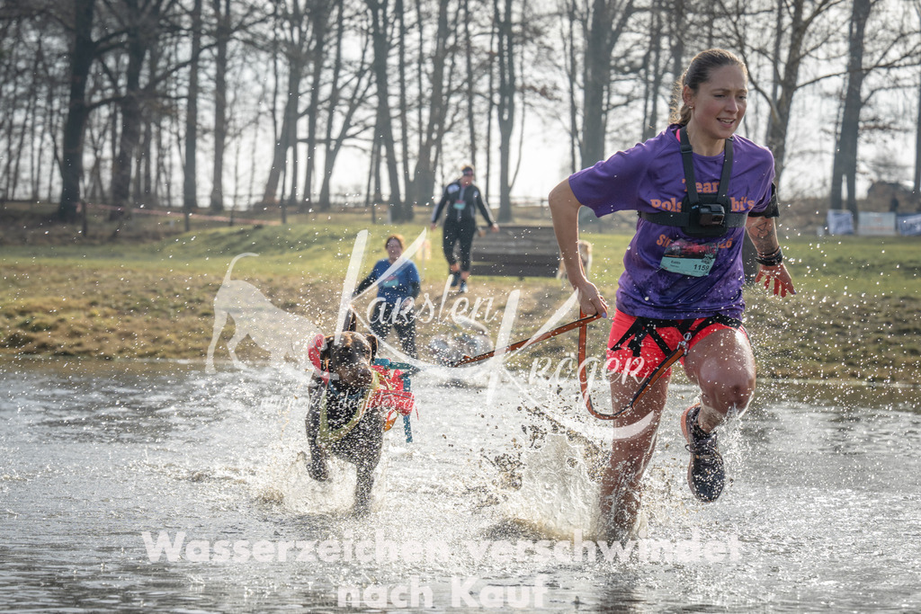1040_ZZ99015 | kk-dogfotos
