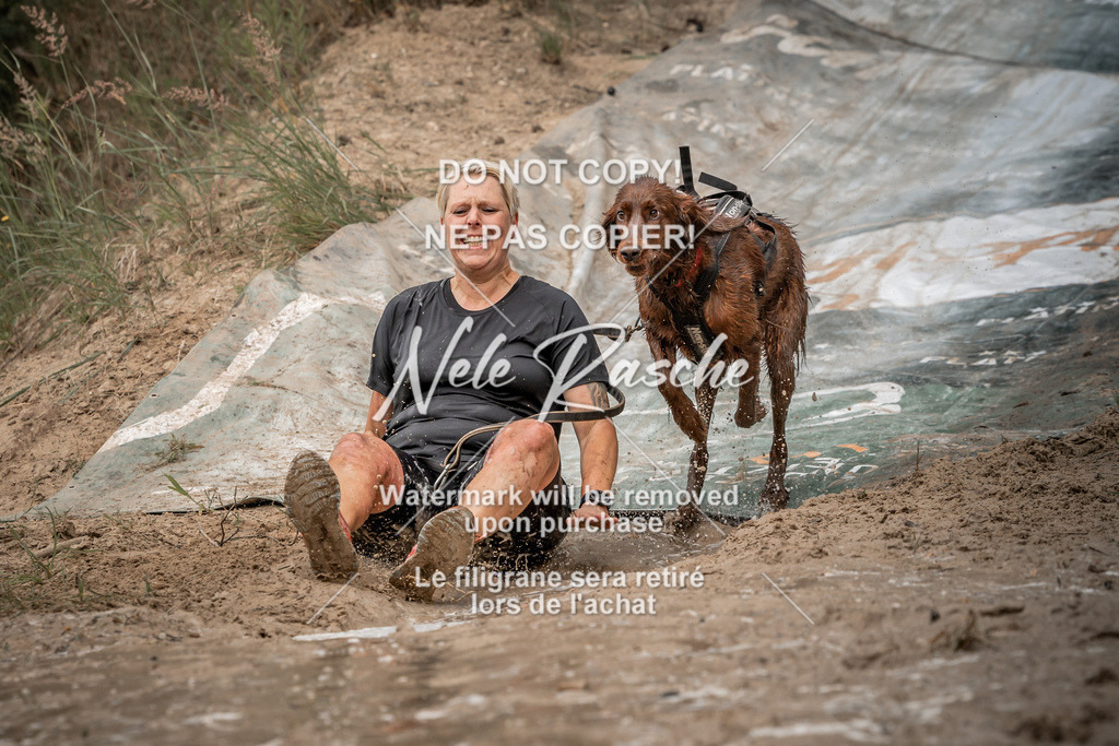 nelerasche_sa1200-1230_310 | nelerasche
