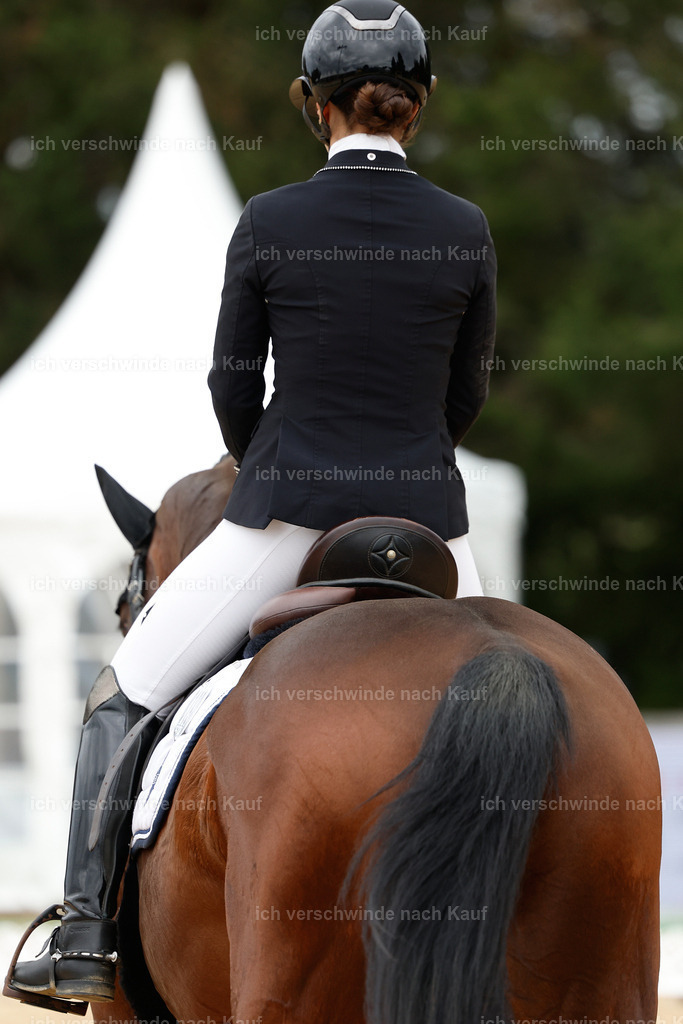 3-197-Dressur M_-StoibPH-2438 | working equitationturnier fotograf videograf stoibphotography marixx film working equitation deutschland reitsport turnierfotografie eventfotografie equestrian events
