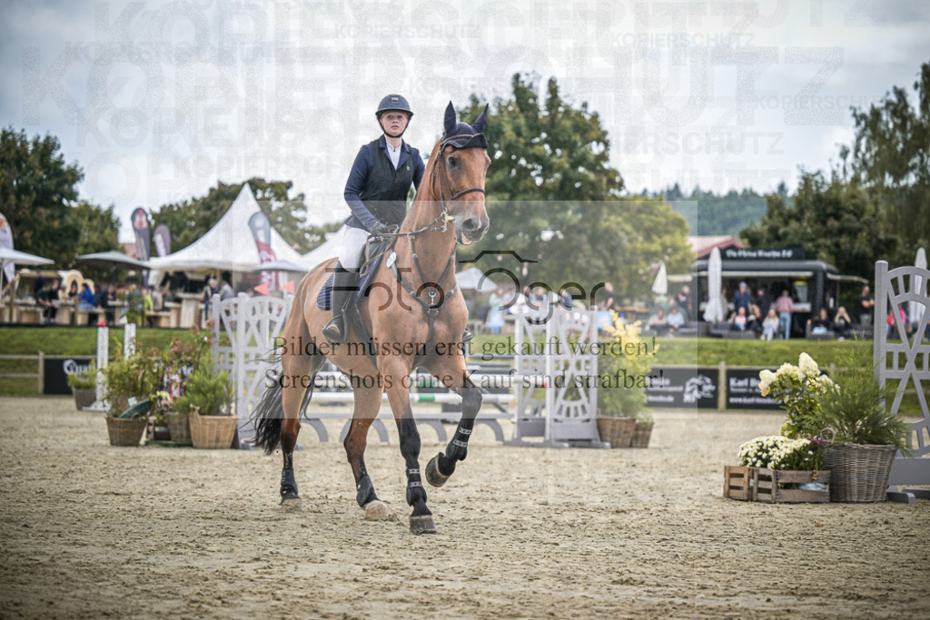 DOS_0365 | Entdecke hochwertige Reitturnierfotos von Foto Oger. Professionell, emotional und authentisch – jetzt Lieblingsmomente im Shop bestellen.Deutschlandweite Turnierfotografie. - Realisiert mit Pictrs.com
