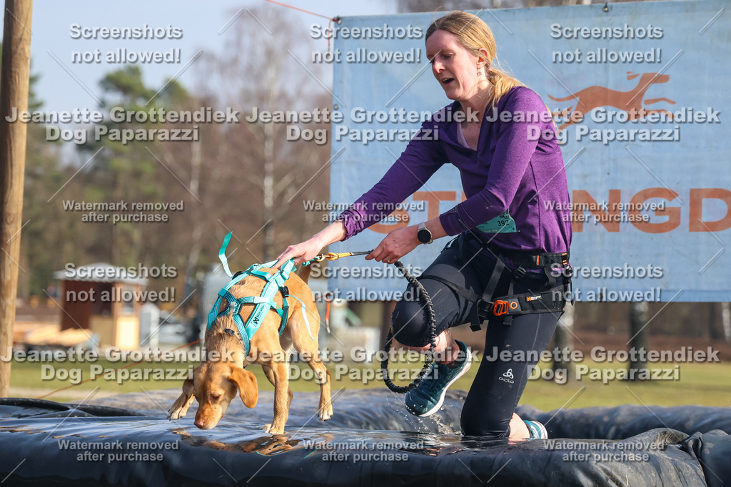 Dog Paparazzi - Strongdog North Mrz26-1837 | Dog Paparazzi Jeanette Grottendiek Fotografie & Videografie - Realisiert mit Pictrs.com