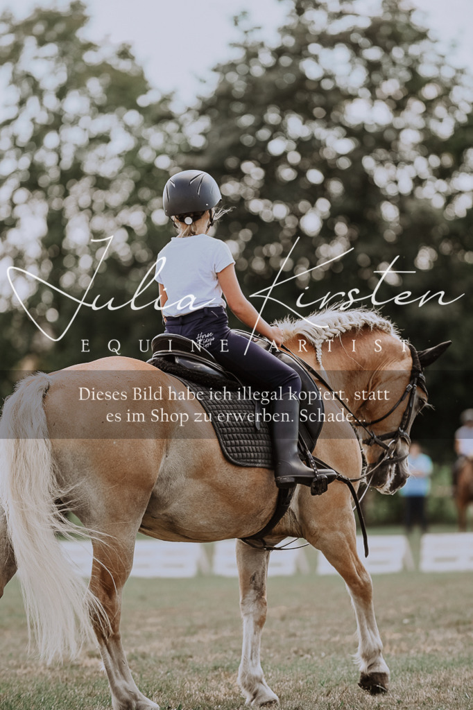 DSC_7706 | Pferde- und Turnierfotografie in Westsachsen. Pferdeportraits, Auftragszeichnungen und intuitive Kunst.