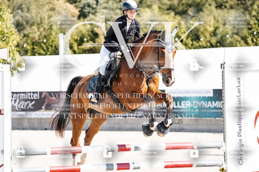 CK905078 | Turnierfotografie Pferdefotografie Trier Rheinland-Pfalz Pferdesport Reitsport Tierfotografie Sportfotografie Pferdevideo Pferdevideografie Equestrianvideography equestrianphotography  - Realisiert mit Pictrs.com