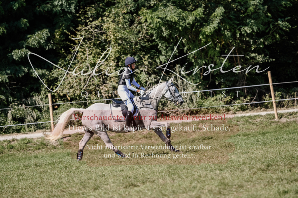 DSC_3016 | Pferde- und Turnierfotografie in Westsachsen. Pferdeportraits, Auftragszeichnungen und intuitive Kunst.