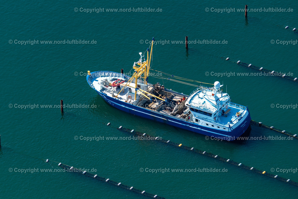 Sylt_Hörnum_Johanna_Leintje_Wyk_2_ELS_9074130822 | HöRNUM (SYLT) 13.08.2022 Muschelkutter Schiff " Johanna Leintje " " WYK 2 "bei den Zuchnetzen der Miesmuschel an der Ostselte der Insel (Sylt) im Bundesland Schleswig-Holstein, Deutschland. // Mussel cutter ship "Johanna Leintje" "WYK 2" at the breeding nets of mussels on the eastern side of the island (Sylt) in the state Schleswig-Holstein, Germany. Foto: Martin Elsen