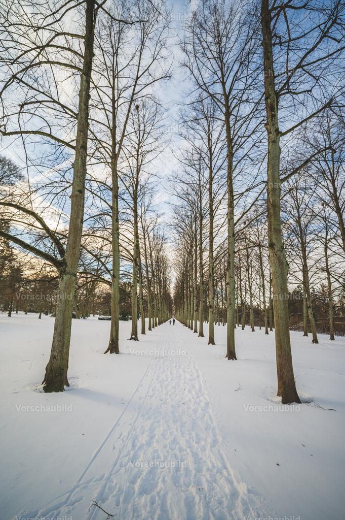 Celle im Schnee | Stadtlandschaften, sowie Makro-, Landschafts-, Natur- und Schwarzweißfotos aus der Region Celle &amp; Umgebung