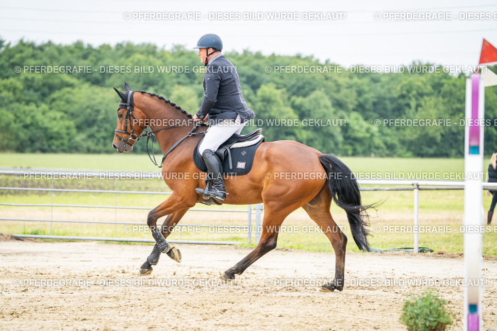 DSC02362 | Pferdegrafie