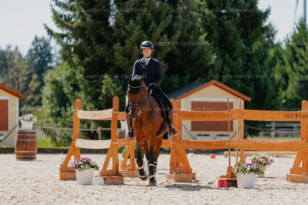 Nadine22_FHC2025-66 | working equitationturnier fotograf videograf stoibphotography marixx film working equitation deutschland reitsport turnierfotografie eventfotografie equestrian events