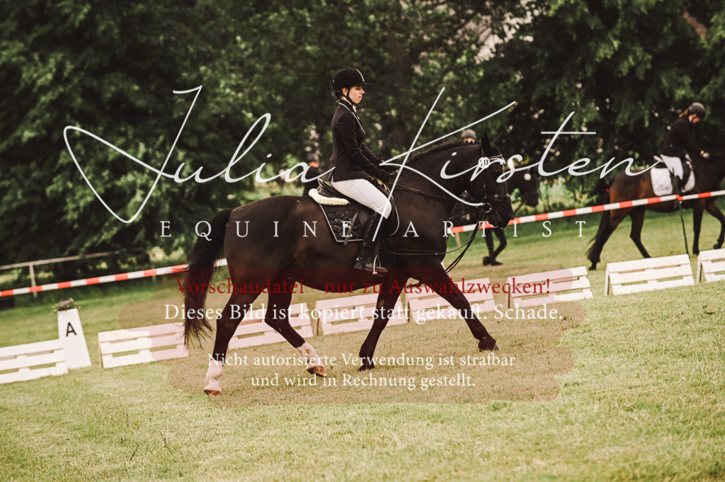DSC_4976 | Pferde- und Turnierfotografie in Westsachsen. Pferdeportraits, Auftragszeichnungen und intuitive Kunst.