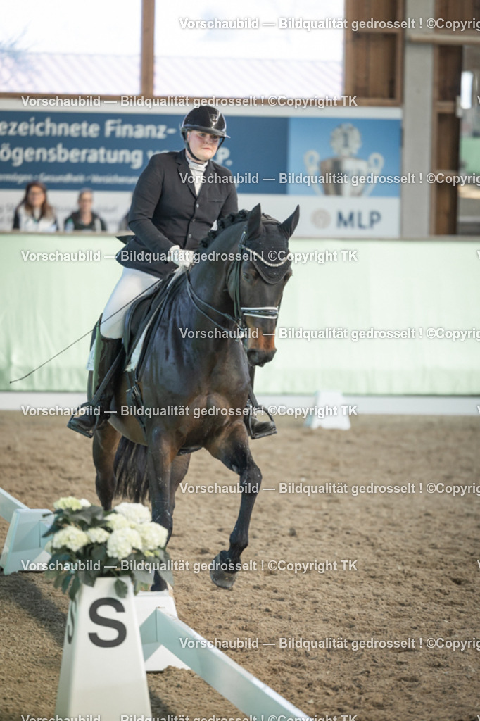 _D5A2885 | Emotionale Pferde- & People-Fotografie rund um Heidelberg, Leimen & Umgebung. Natürliche Fotos von Pferd, Mensch & Familie. Jetzt Termin sichern!