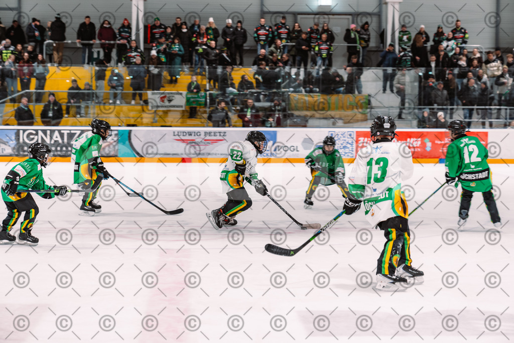 Alligators_vs_Fuessen_21.11.2025-054 | Höchstadt Alligators Fotogalerie: Eishockey-Action aus Franken. Professionelle Spielfotos, Portraits & Stadionbilder zum Download. Jetzt entdecken! - Realisiert mit Pictrs.com