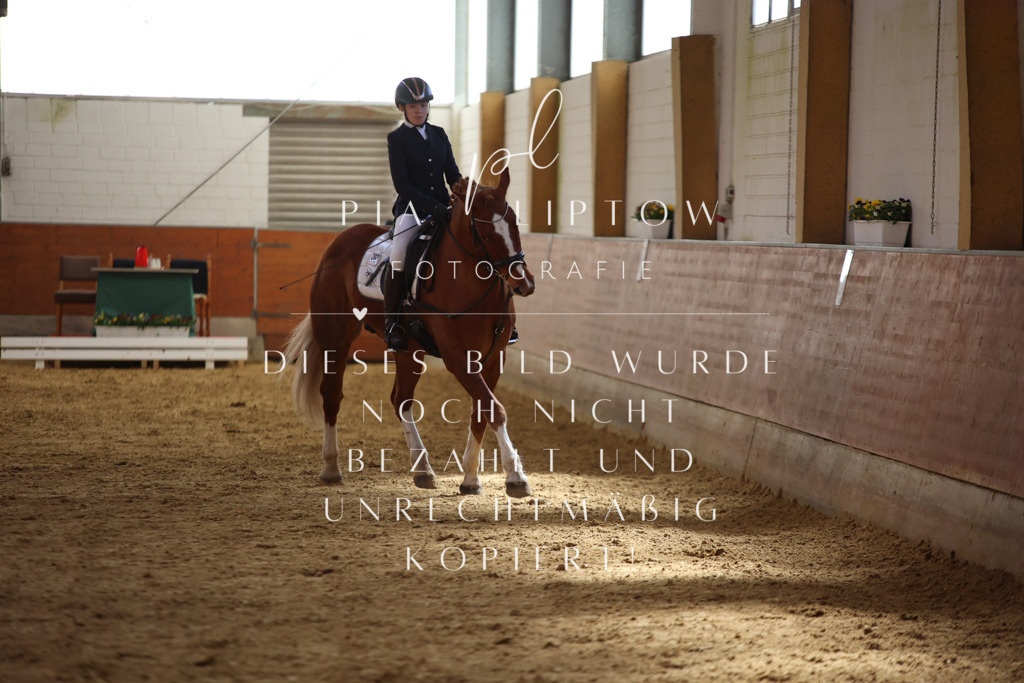 IMGT0685 | pl-fotografie