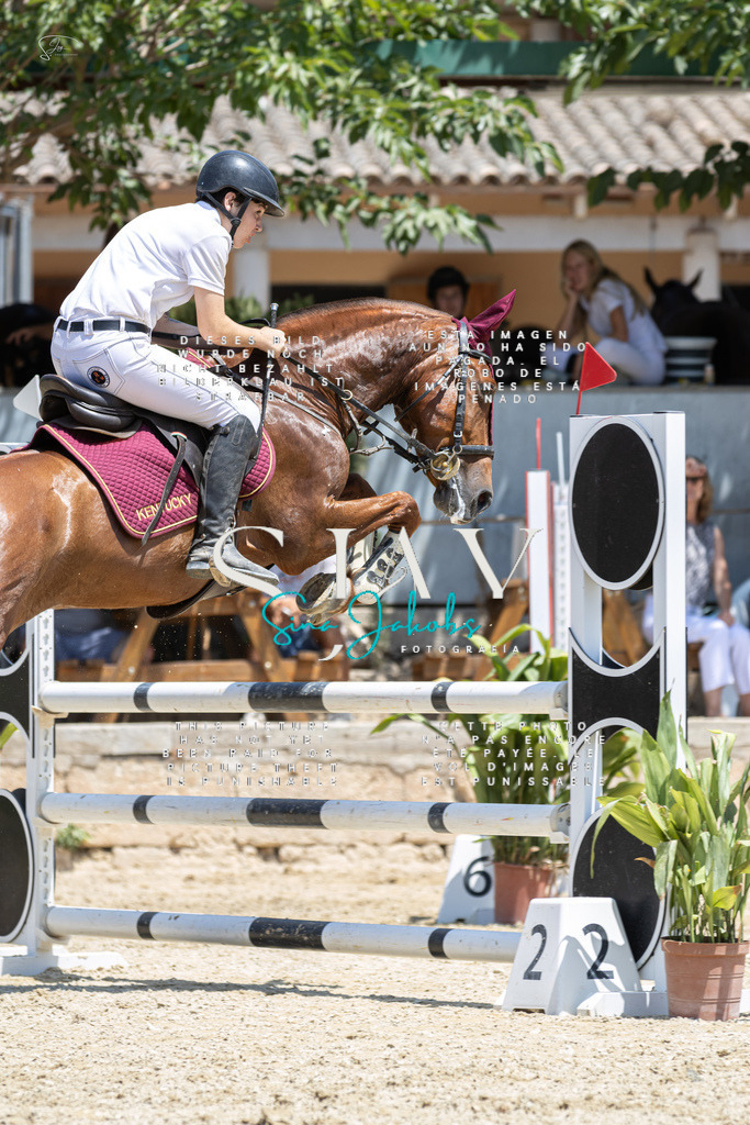 IMG_6495 | s-jay-photography - Realisiert mit Pictrs.com