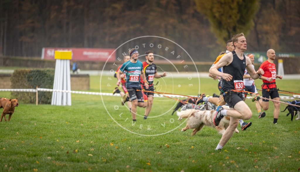 CaniXpix_DV3A9497 | Hundefotografie, Tierfotograf, Pfotenfotografie, Fotoshooting Hund, Hunde Portrait, Hundesport, Hundeportraits, Heideshooting, Hunde, Sportfotograf, Hundefotograf, Turnierhundsport, THS,  - Realisiert mit Pictrs.com