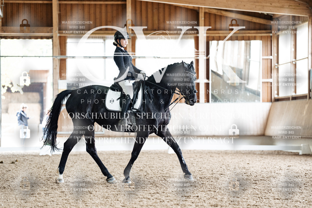 CK901038 | Turnierfotografie Pferdefotografie Trier Rheinland-Pfalz Pferdesport Reitsport Tierfotografie Sportfotografie Pferdevideo Pferdevideografie Equestrianvideography equestrianphotography  - Realisiert mit Pictrs.com